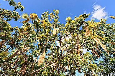 《少女前线》续作？ 《绝地求生》推出限时恋爱模拟游戏 